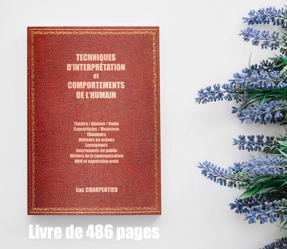 Livre TECHNIQUES D\'INTERPRÉTATION